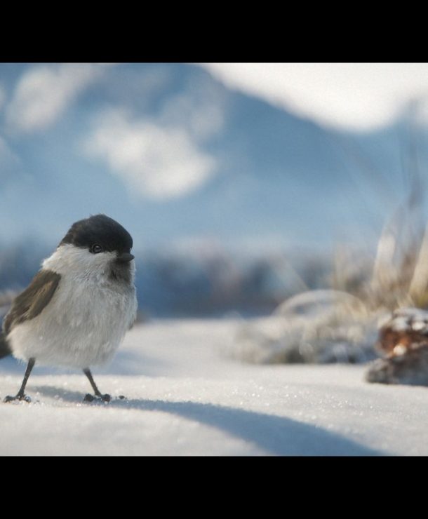 PUBG Vikendi Trailer